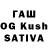 Галлюциногенные грибы Psilocybine cubensis KolyanB52 @