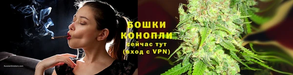 дмт Осташков
