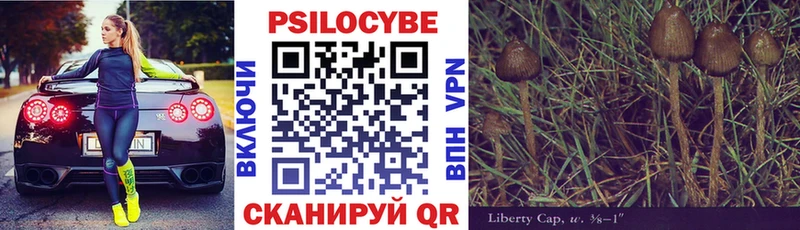 Галлюциногенные грибы Magic Shrooms  Рошаль 